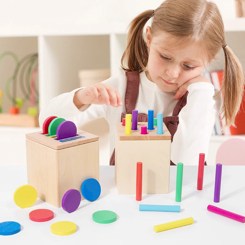 Wooden Shape Sorting Learning Toy