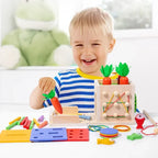 Wooden Shape Sorting Learning Toy