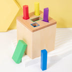 Wooden Shape Sorting Learning Toy
