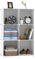 6-Cube Storage Organizer Shelf