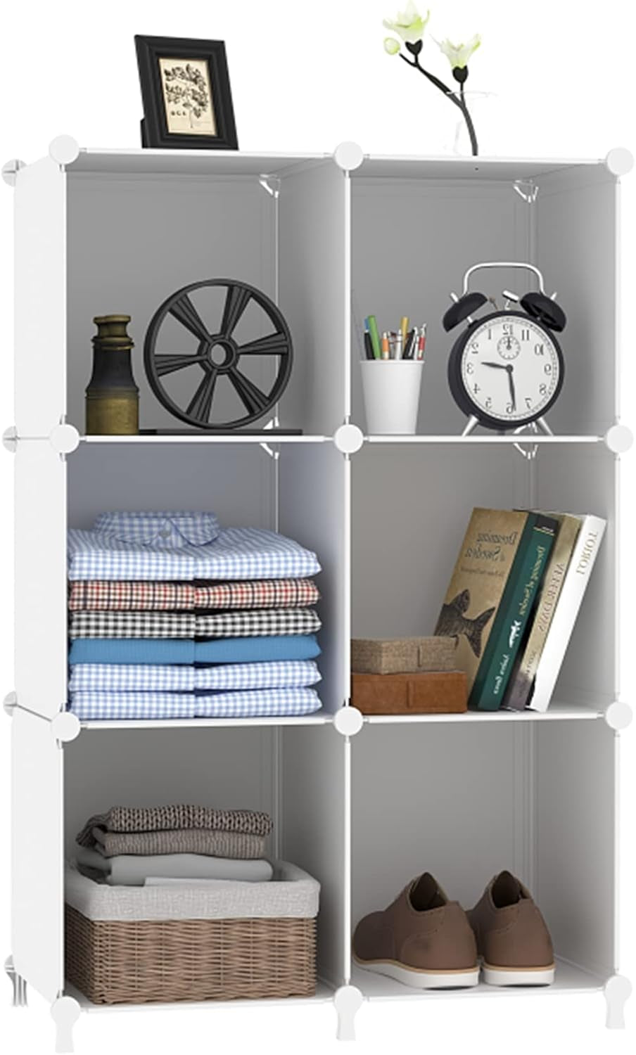 6-Cube Storage Organizer Shelf