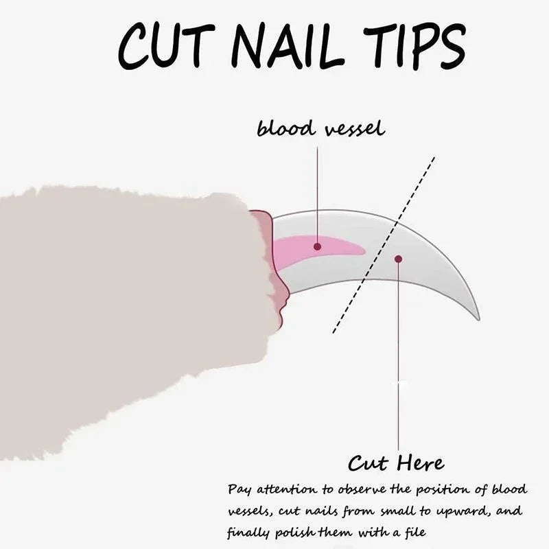 Pet Nail Clipper Grooming Tool