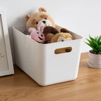 Large Capacity Storage Box