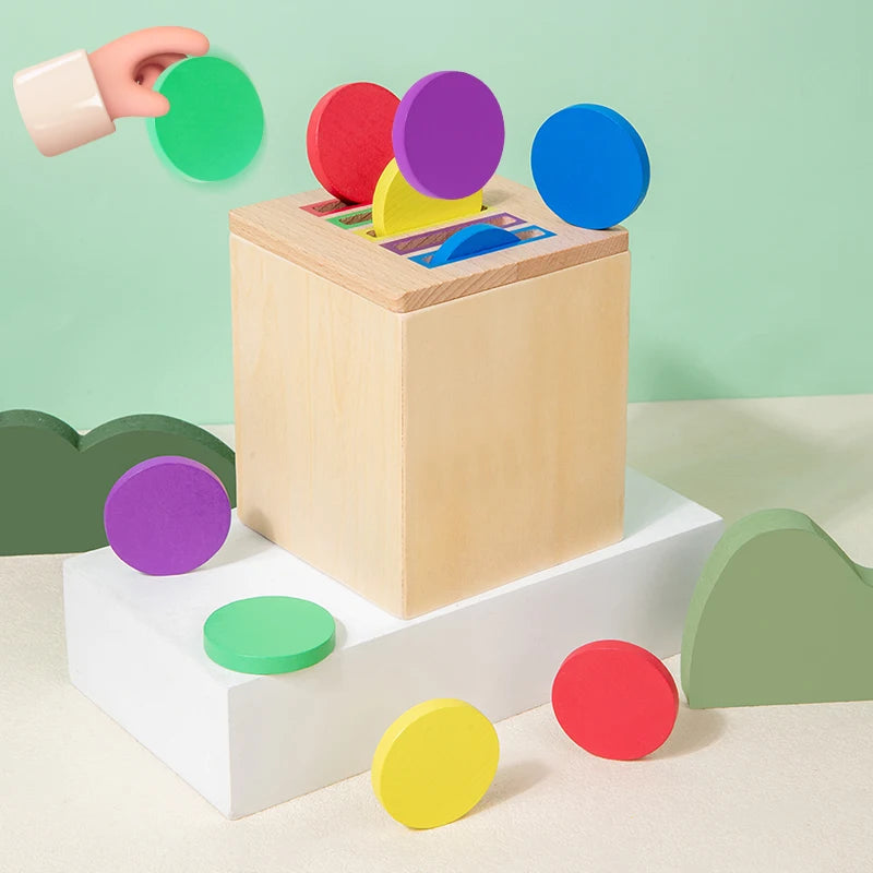 Wooden Shape Sorting Learning Toy