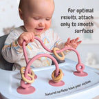 Silicone Suction Teething Toy