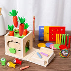 Wooden Shape Sorting Learning Toy